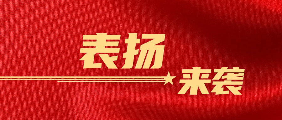 专业赢赞！麻将胡了2集团收到多部门感激信
