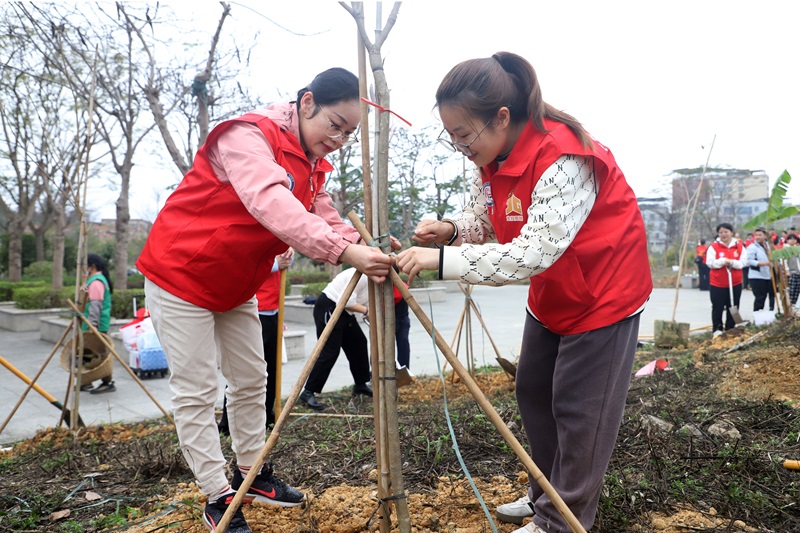麻将胡了2集团发展植树节活动