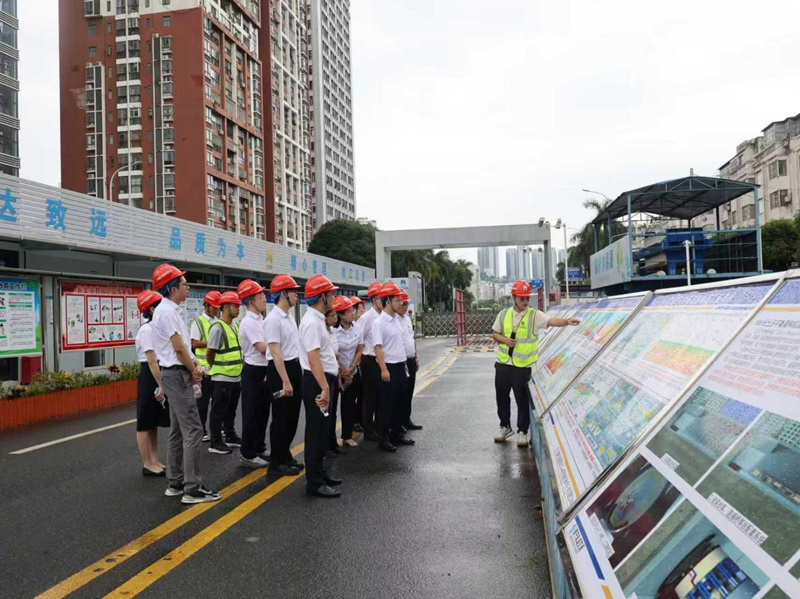 广西工程征询集团第二党支部与广西路桥集团嘉峪关轨路交通6号线项目党支部结合发展主题党日活动